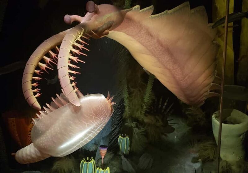 1 Day Drumheller Tour: Calgary to Hoodoos Dinosaurs Badlands - The Practical Side: Value, Price, and Comfort