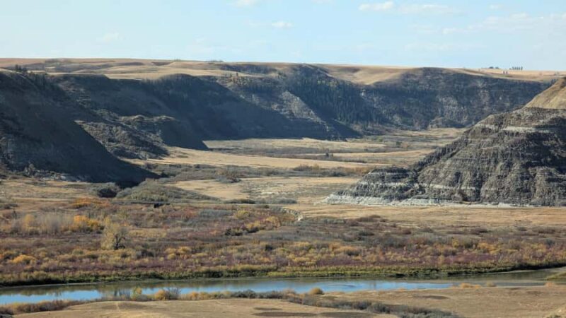 1 Day Drumheller Tour: Calgary to Hoodoos Dinosaurs Badlands - Who Should Consider This Tour?