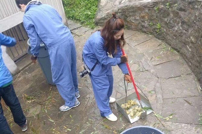 1-Day Dujiangyan Self-Guided Tour: Panda Volunteer and Water Irrigation System - Key Points