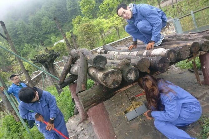 1-Day Dujiangyan Tour: Panda Volunteer Program and Water Irrigation System - Practical Details: What You Should Know