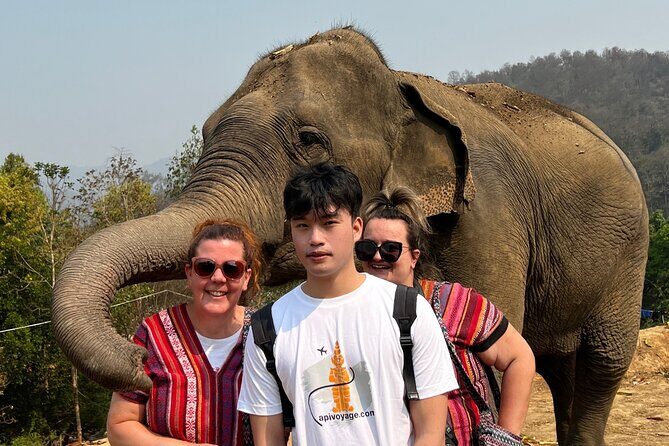 1 Day Eco Elephant Excursion - What to Expect from the 1 Day Eco Elephant Excursion