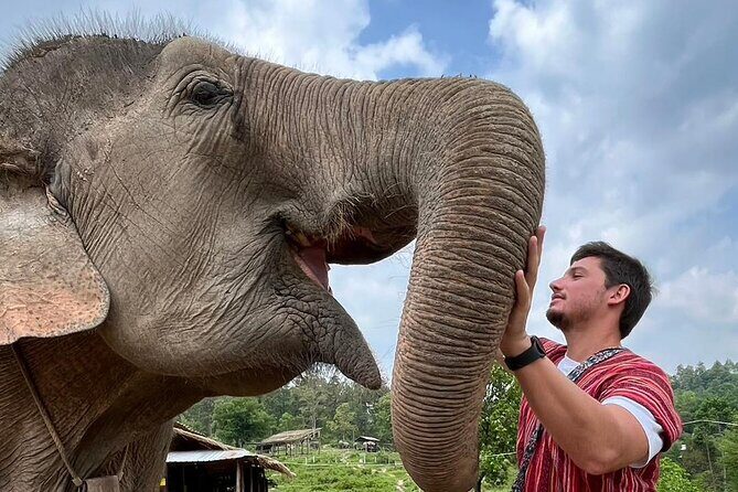 1 Day Eco Elephant Excursion - FAQ