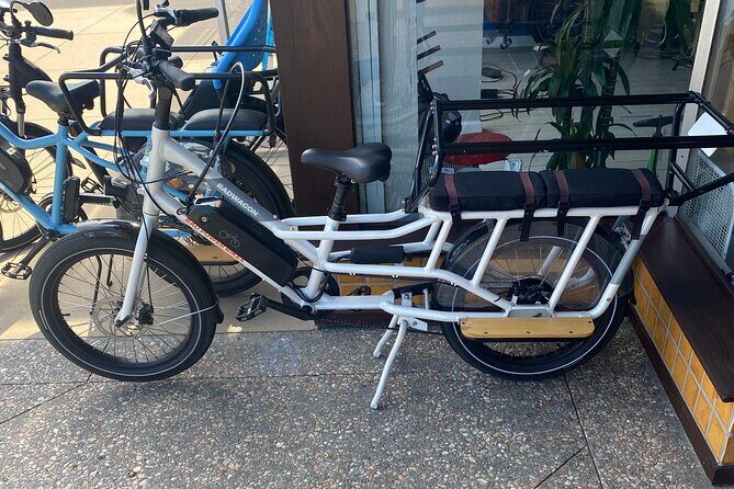 1 Day Electric Bike Rental in Solana Beach - Who Is This Tour Best For?