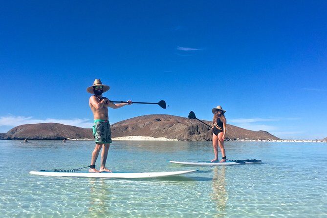 1 Day Espiritu Santo Island Wonders, Sea Lions and Paddleboard Adventure - Key Points