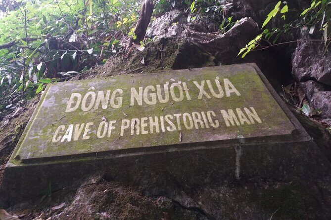 1-day Explore Cuc Phuong National Park from Hanoi - Who Will Love This Tour?
