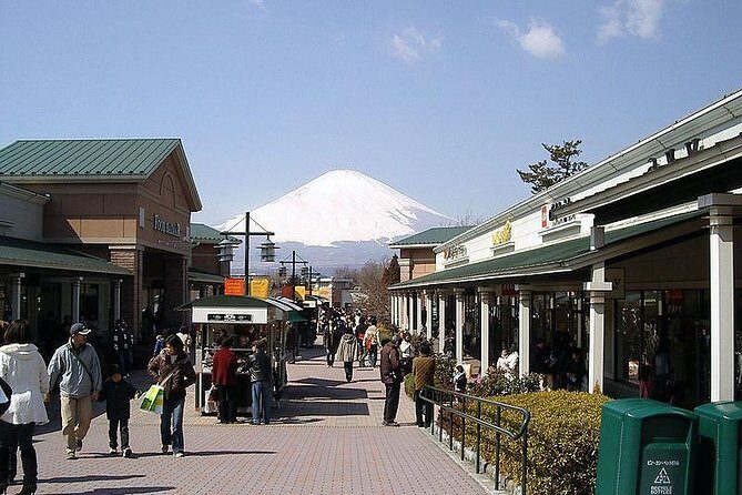 1 Day Family Fun at Fuji with Private Car - Authentic Insights from Other Travelers