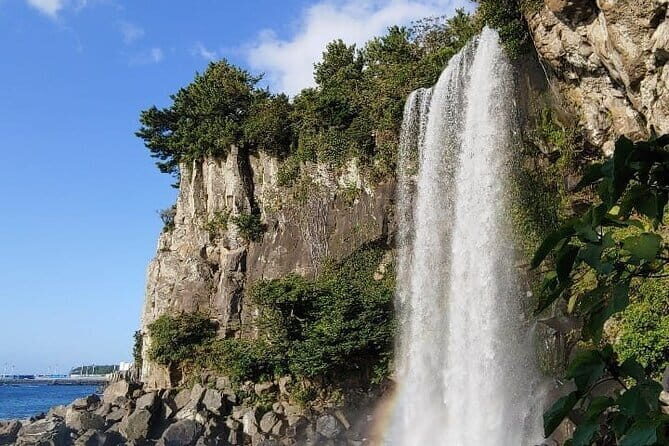 1 Day Free schedule Tour a lot of experince driver in jeju island - Key Points