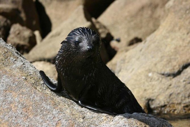 1 Day Freedom Rental - Pricing and Value