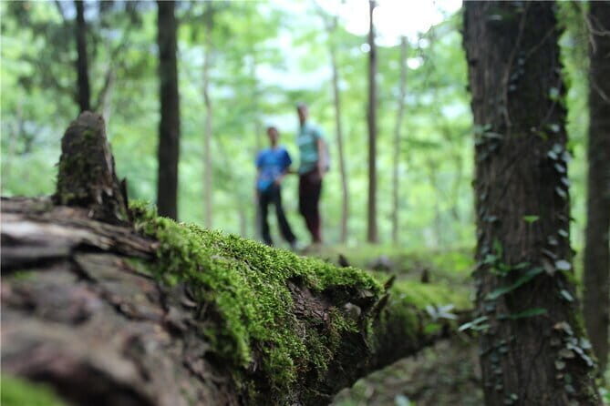 1-day Guilin classical LiRiver tour & Cycling in rural villege. - Who This Tour Is Best For