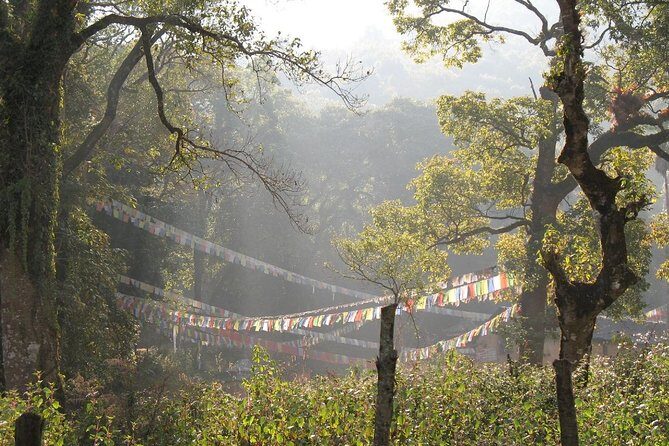 1 day hike to Phulchwoki Hill (Kathmandu Valley) - Key Points