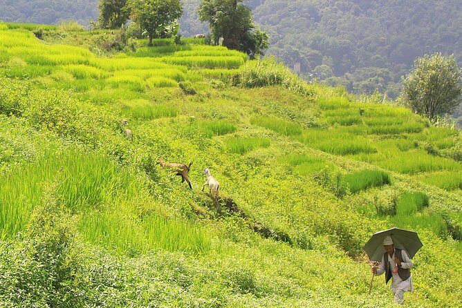 1 day hike to Phulchwoki Hill (Kathmandu Valley) - The Sum Up