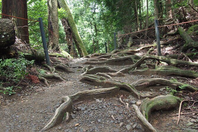 1 Day Hiking Tour in the Mountains of Kyoto - The Overall Experience