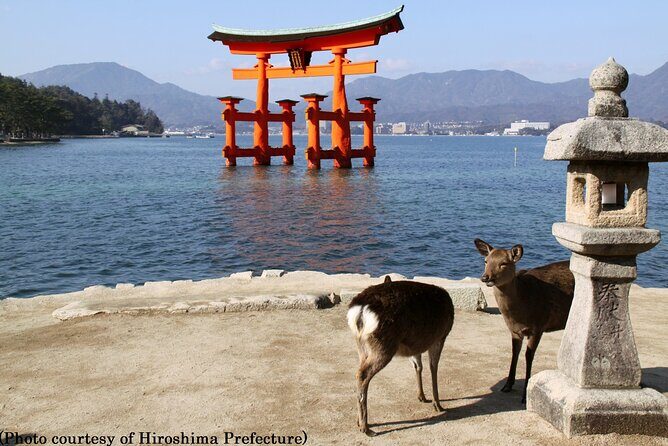 1 Day Hiroshima and Miyajima Tour by Bullet Train from Osaka - FAQ
