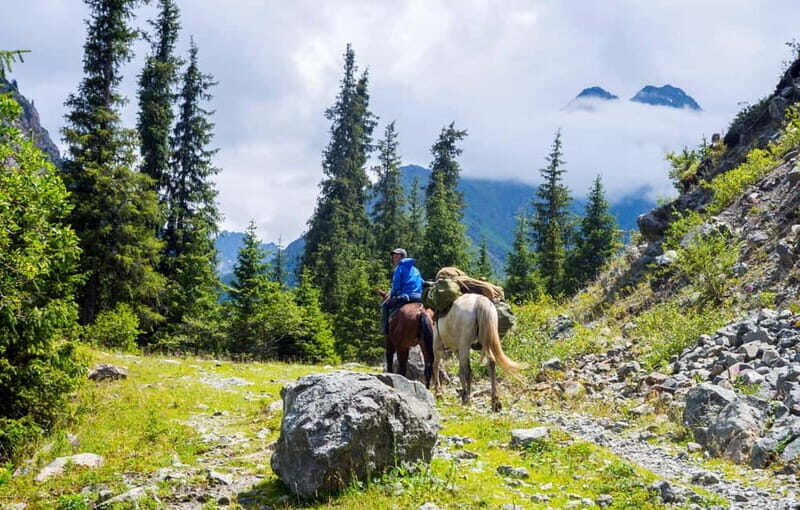 1 Day Horse Riding Adventure in Borjomi Mountains - The Experience in Detail
