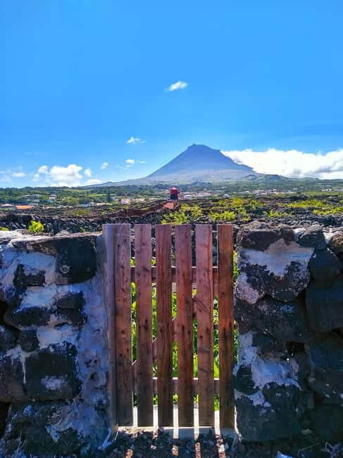 1-day jeep tour on the island of Pico - Azores - Authenticity and Value