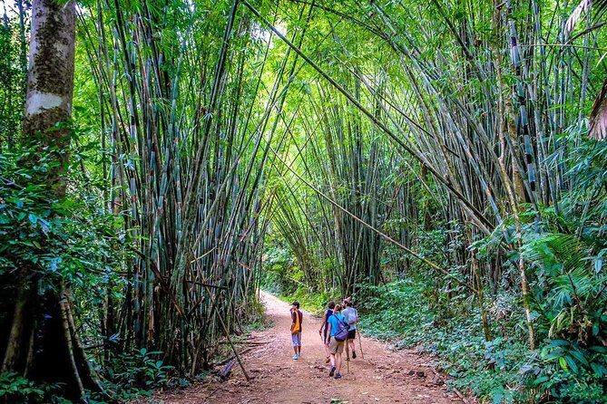 1 Day Khao Sok Jungle Safari and 2 Days Cheow Lan Lake Explorer from Krabi - Who is This Tour Best For?