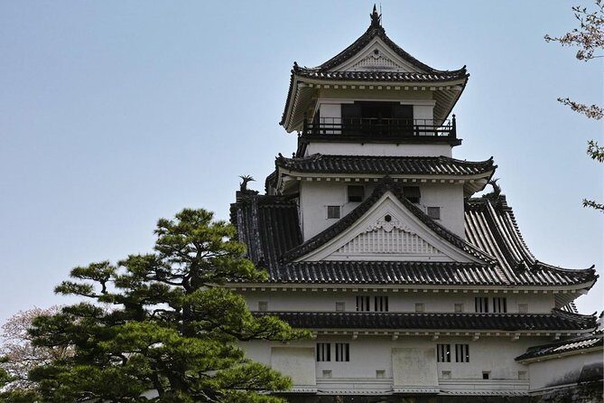 1-Day Kochi Highlights Tour with local guide - Who Should Book This Tour?