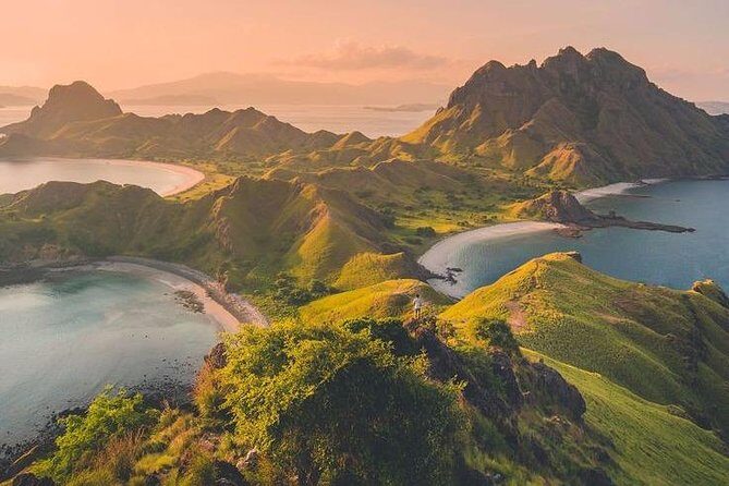 1 Day Komodo Trip by Private Fast Boat - Authentic Experiences from Reviews