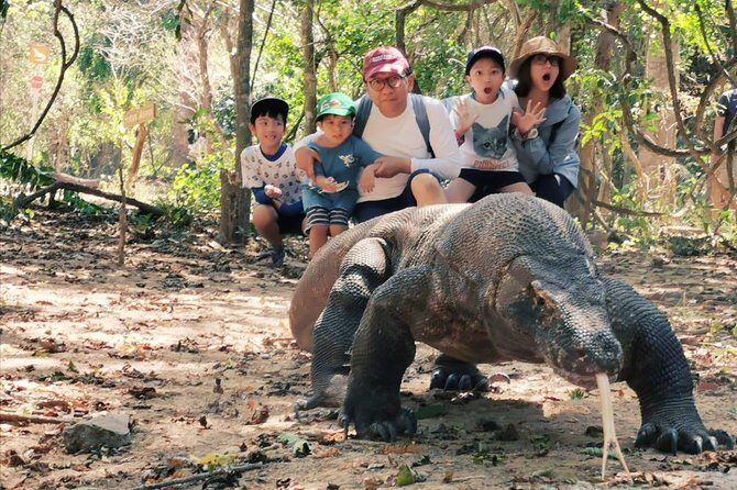 1 Day Komodo Trip By Shared Fast Boat - The Experience in Detail: What to Expect