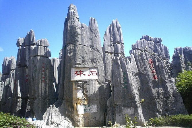 1 day Kunming Highlights Private tour - Practical Aspects and What to Expect