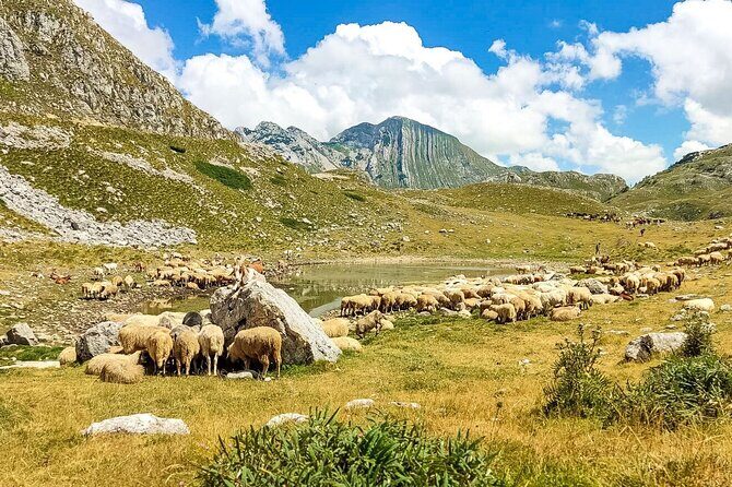1-Day Montenegro Hiking Tour to Durmitor National Park - Authentic Insights from Travelers