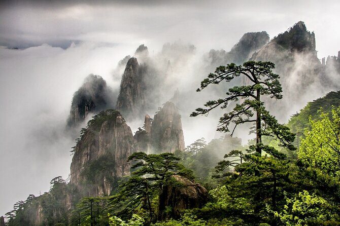 1-Day Mt. Huangshan Tour with Optional Hongcun & Xidi Village - Authentic Experiences and Review Highlights