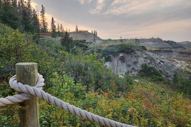 1 Day of Drumheller Dinosaurs and Badlands Guided Group Tour - Authentic Insights from the Reviews