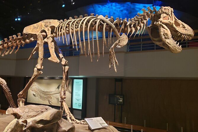 1 Day of Drumheller Dinosaurs and Badlands in Private Custom Tour - Key Points