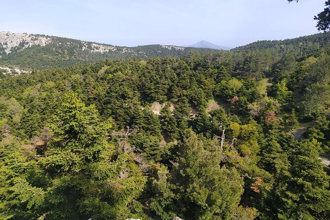1 Day Parnitha Athens Private Hiking Tour with Hotel Pickup - Key Points