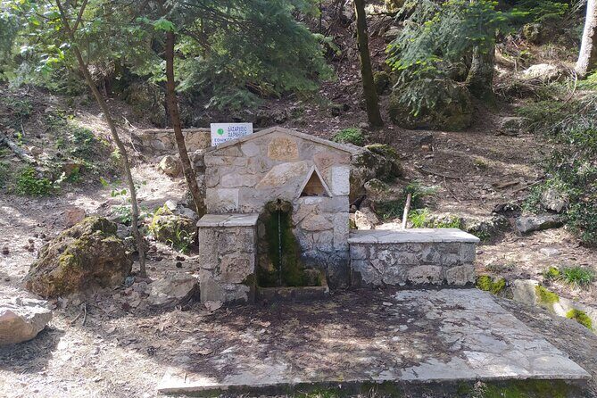 1 Day Parnitha Athens Private Hiking Tour with Hotel Pickup - Starting the Adventure: What to Expect on the Hike