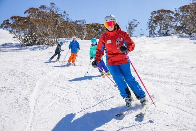 1 Day Perisher Snow Tour - Who Should Consider This Tour?