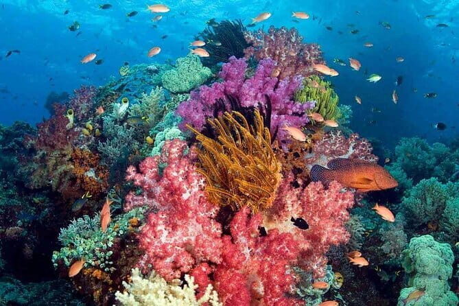 1 Day Phu Quoc Boat Trip with Three Islands - Authentic Experiences and Practical Insights