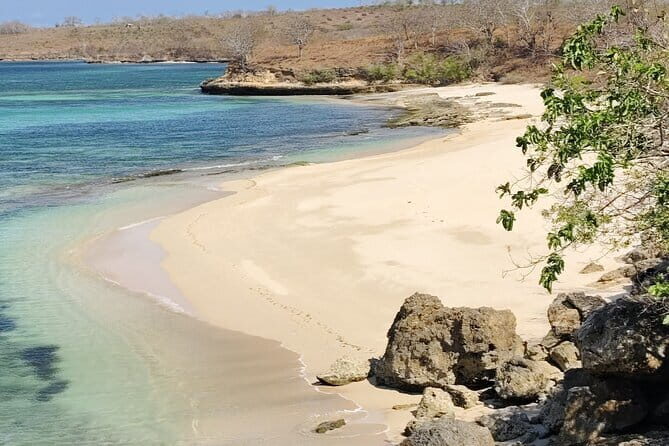 1 Day Pink Beach Tour in East Lombok - Introduction: Uncovering the Beauty of East Lombok’s Pink Beaches