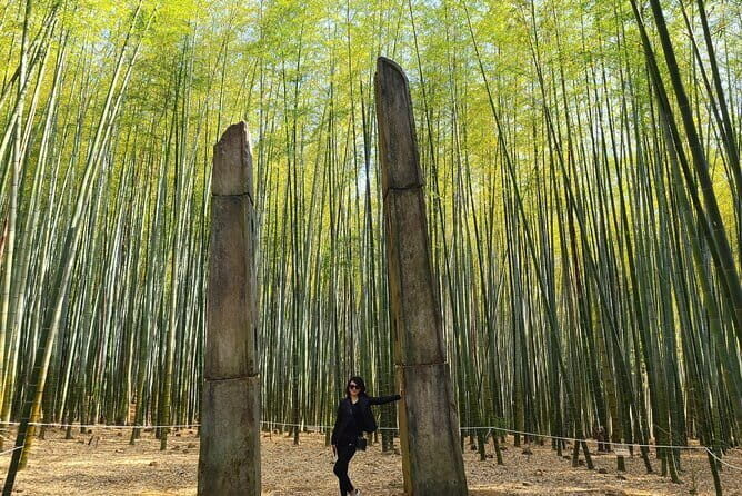 1 Day Private Busan Guided Tour - A Closer Look at the Busan Private Tour Experience