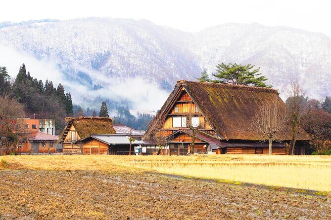 1 Day Private Charter Tour to Takayama & Shirakawago - In-Depth Itinerary Breakdown