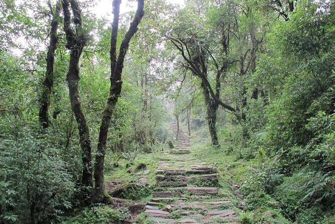 1-Day Private Dhampus Trekking Tour - The Sum Up: Is This Tour Worth It?