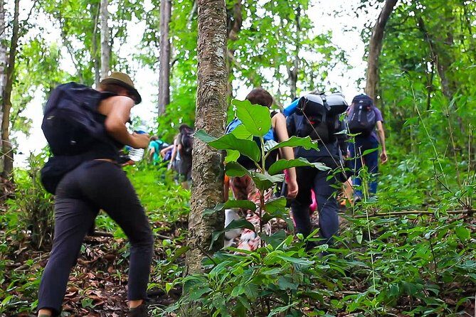1 day private eco-trekking at Mae Sa Pok - What to Expect from Your Eco-Trekking Day