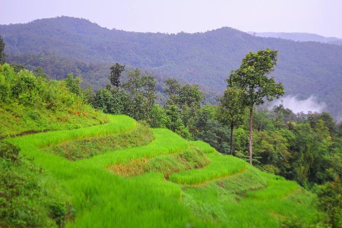 1 day private eco-trekking at Mae Sa Pok - FAQs