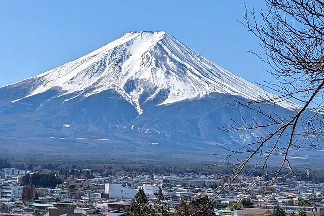 1 Day Private Mt Fuji & Lake Kawaguchiko English Speaking Driver - Final Thoughts: Who Will Love This Tour?