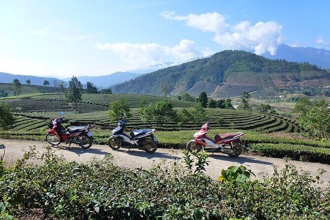 1 Day Private Sapa Motorbike Tour Off the Beaten Track - Key Points