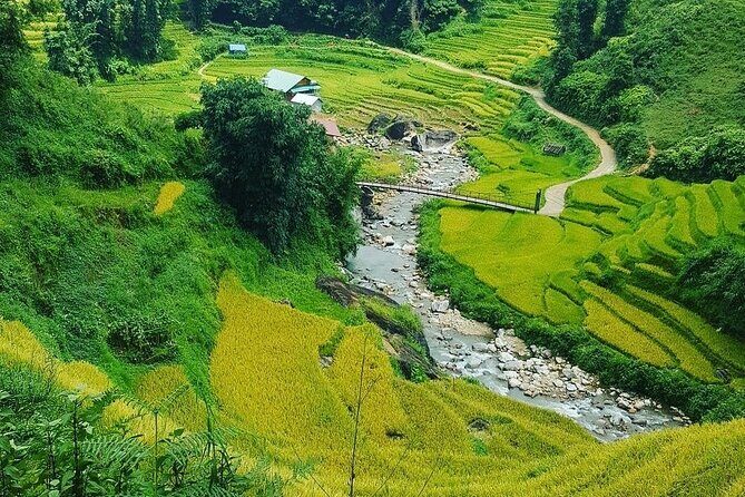 1 Day Private Sapa Motorbike Tour Off the Beaten Track - Authenticity & Local Insights