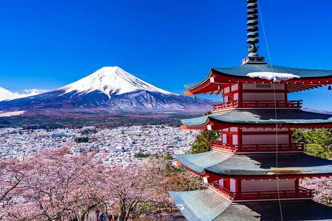 1 Day Private Tour Fuji FujiQ Kawaguchiko Pagoda - Key Points