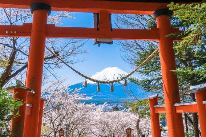 1 Day Private Tour Fuji FujiQ Kawaguchiko Pagoda - The Itinerary: What to Expect and Why It Matters