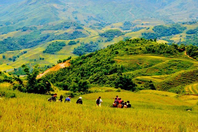 1 day Private tour Sapa trekking Y Linh Ho - Lao Chai - Ta Van (start from Sapa) - Exploring the Beauty of Sapa in a Day