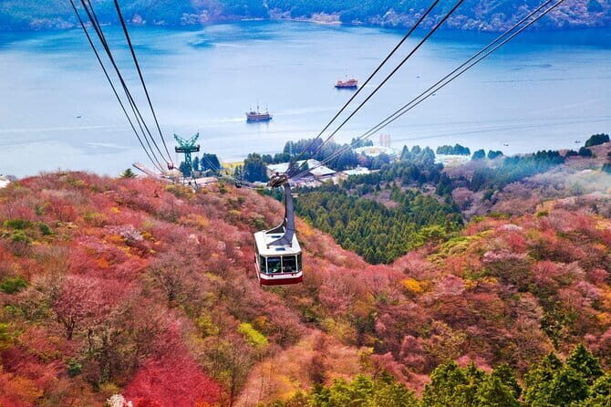 1 Day Private Tour to Hakone-Gotemba With English Speaking Driver - FAQ