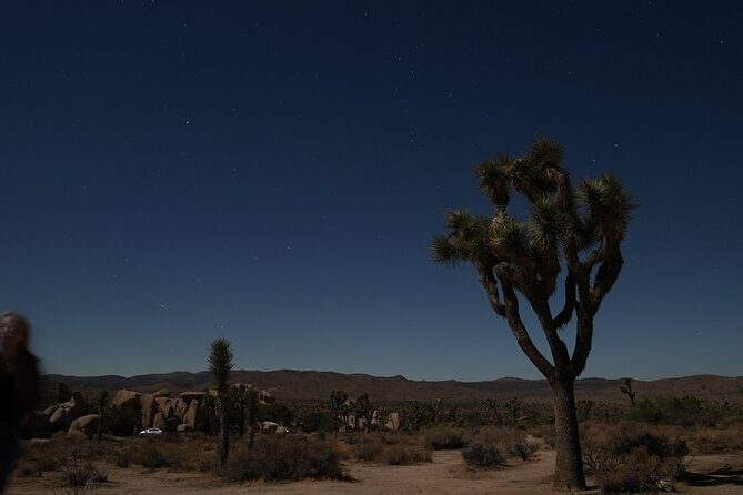 1-day Private Tour to Joshua Tree National Park from Los Angeles - Skull Rock: The Desert’s Most Recognizable Landmark