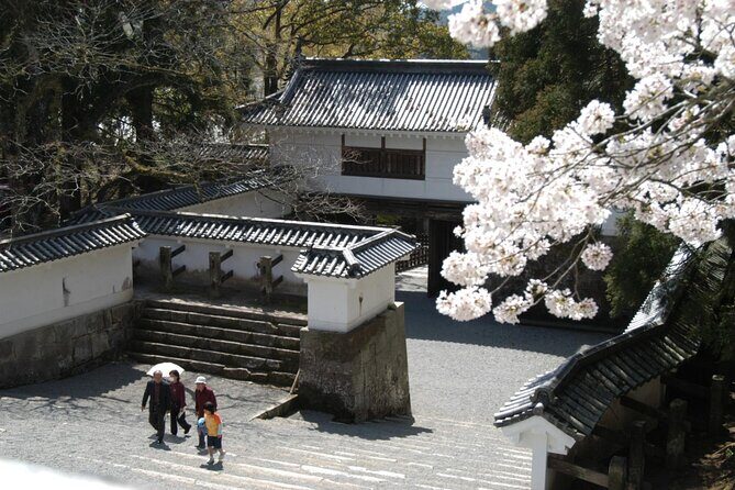 1 Day Private Tour to Miyazaki Nichinan - Who Will Love This Tour?
