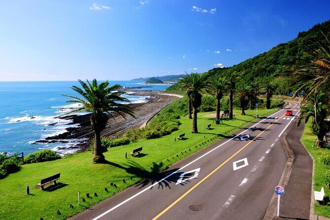1 Day Private Tour to Miyazaki Nichinan - FAQs