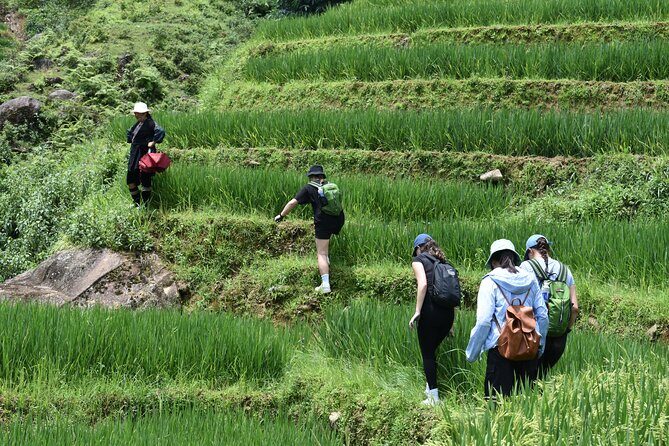 1-Day Private Trekking in Sapa through Terraces Rice Fields - Practical Tips for Making the Most of Your Trek