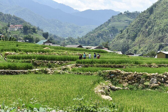 1-Day Private Trekking in Sapa through Terraces Rice Fields - The Sum Up